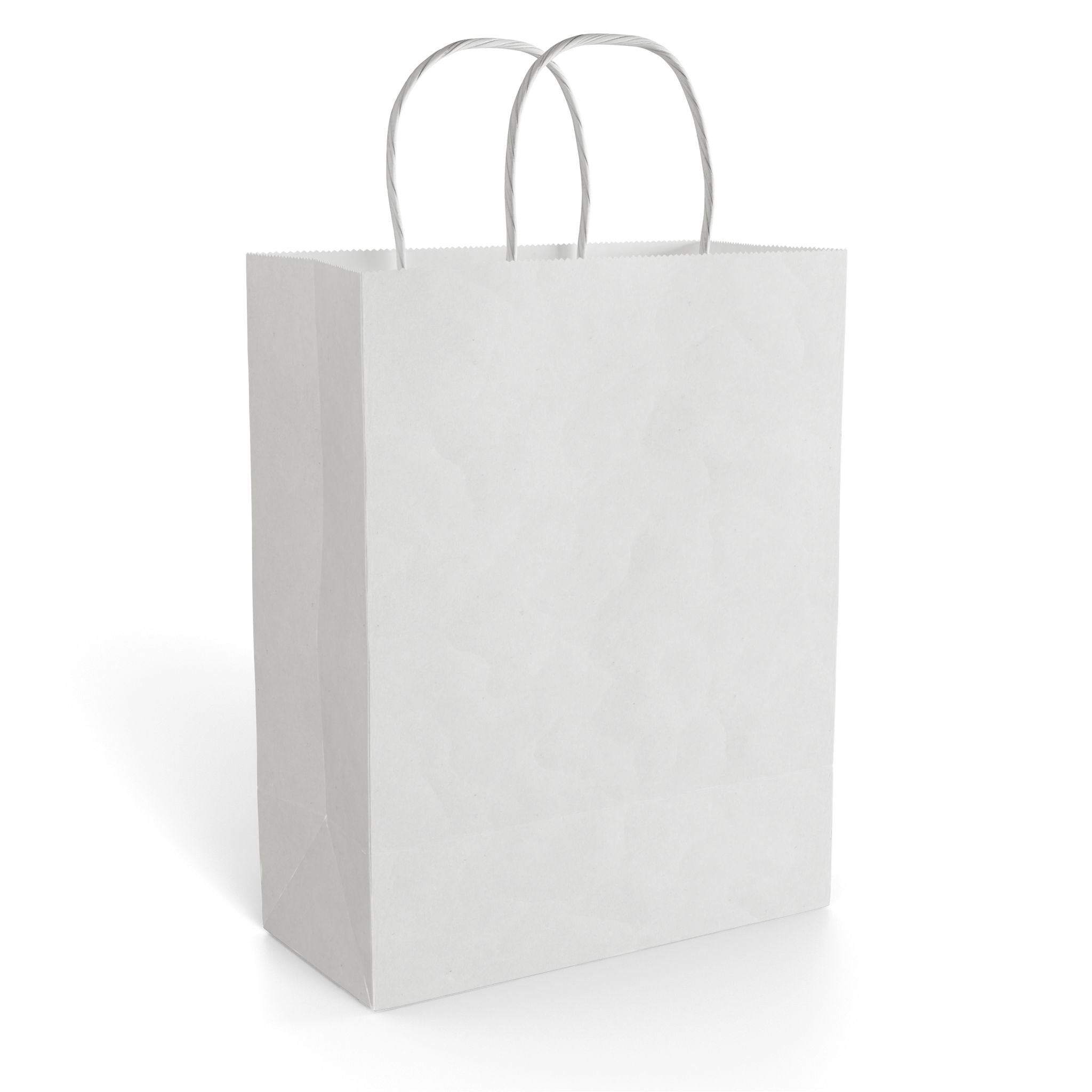 Kraft & White Paper Gift Bag