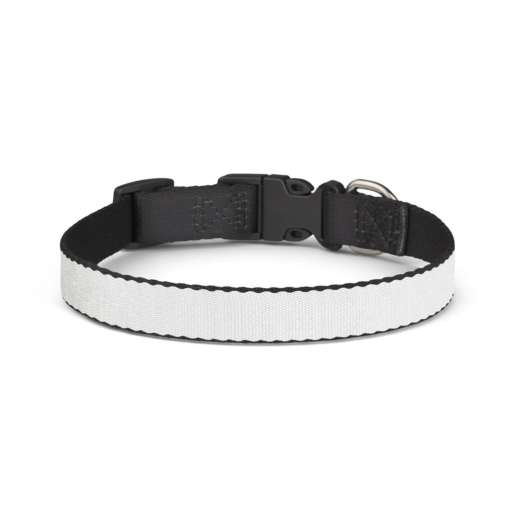Reflective Clip-On Pet Collar