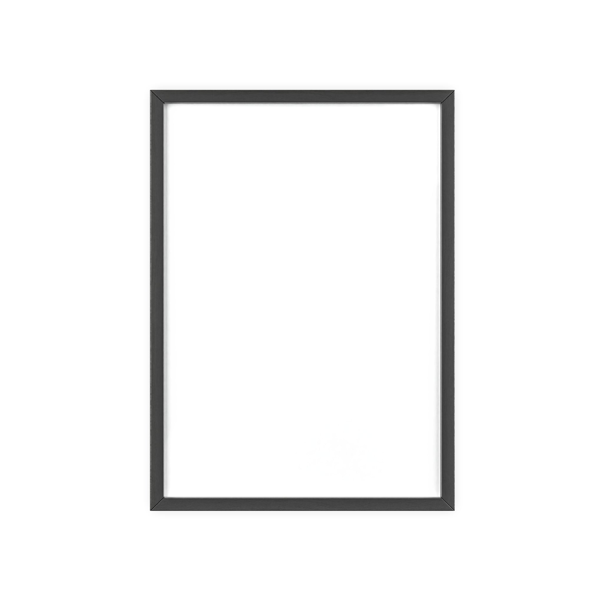 Posters with Wooden Frame