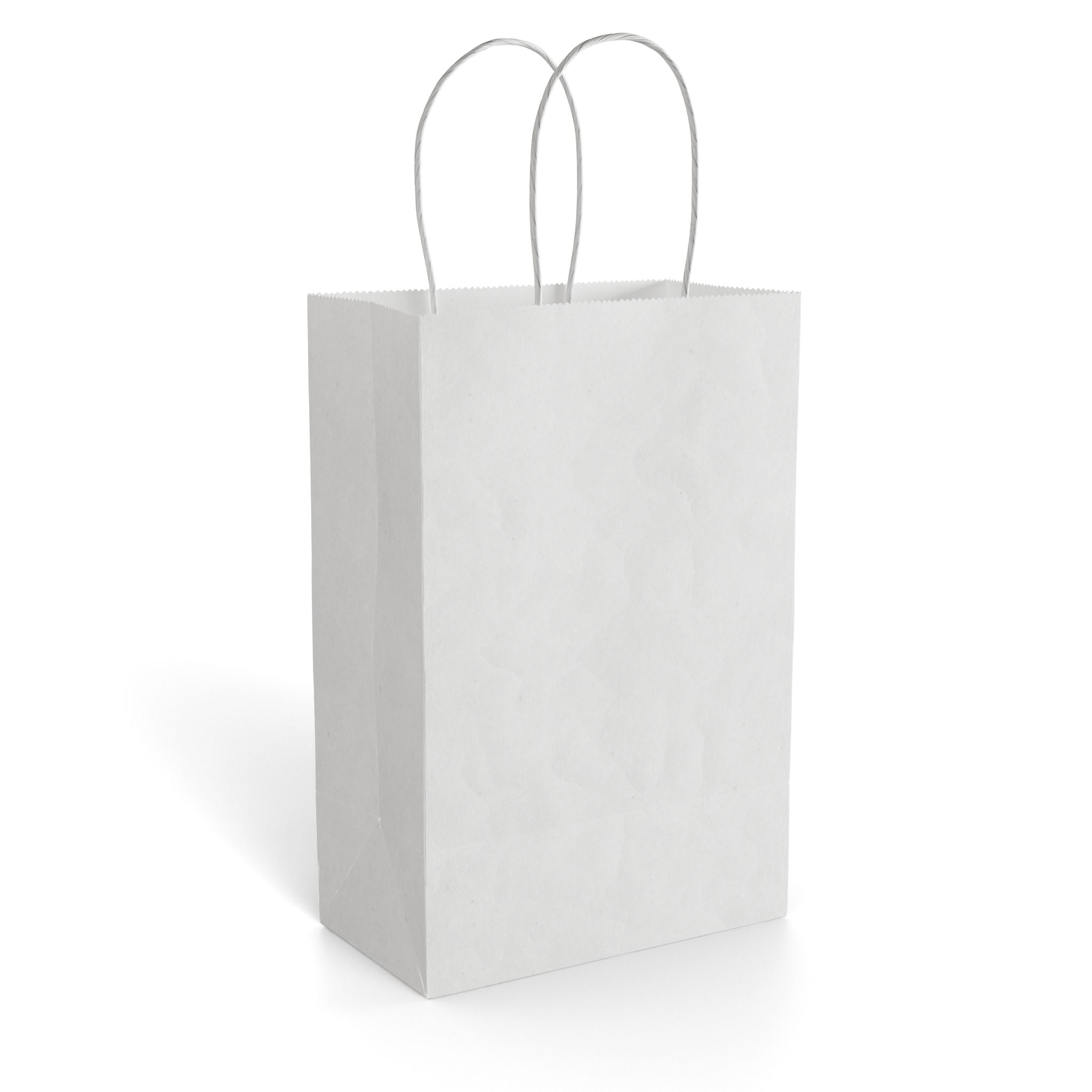 Kraft & White Paper Gift Bag